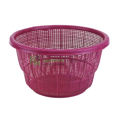 Kalo Cengkeh W18 STB