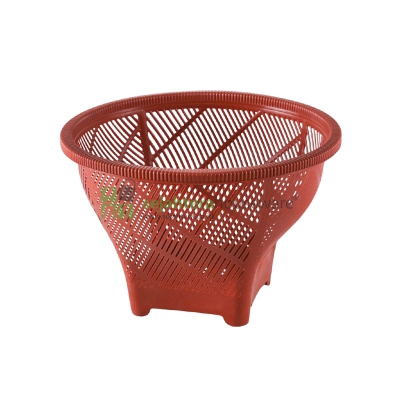 Kalo Cengkeh Bamboe Panda Star