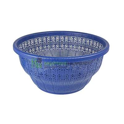 Kalo Cengkeh GM Jumbo Warna